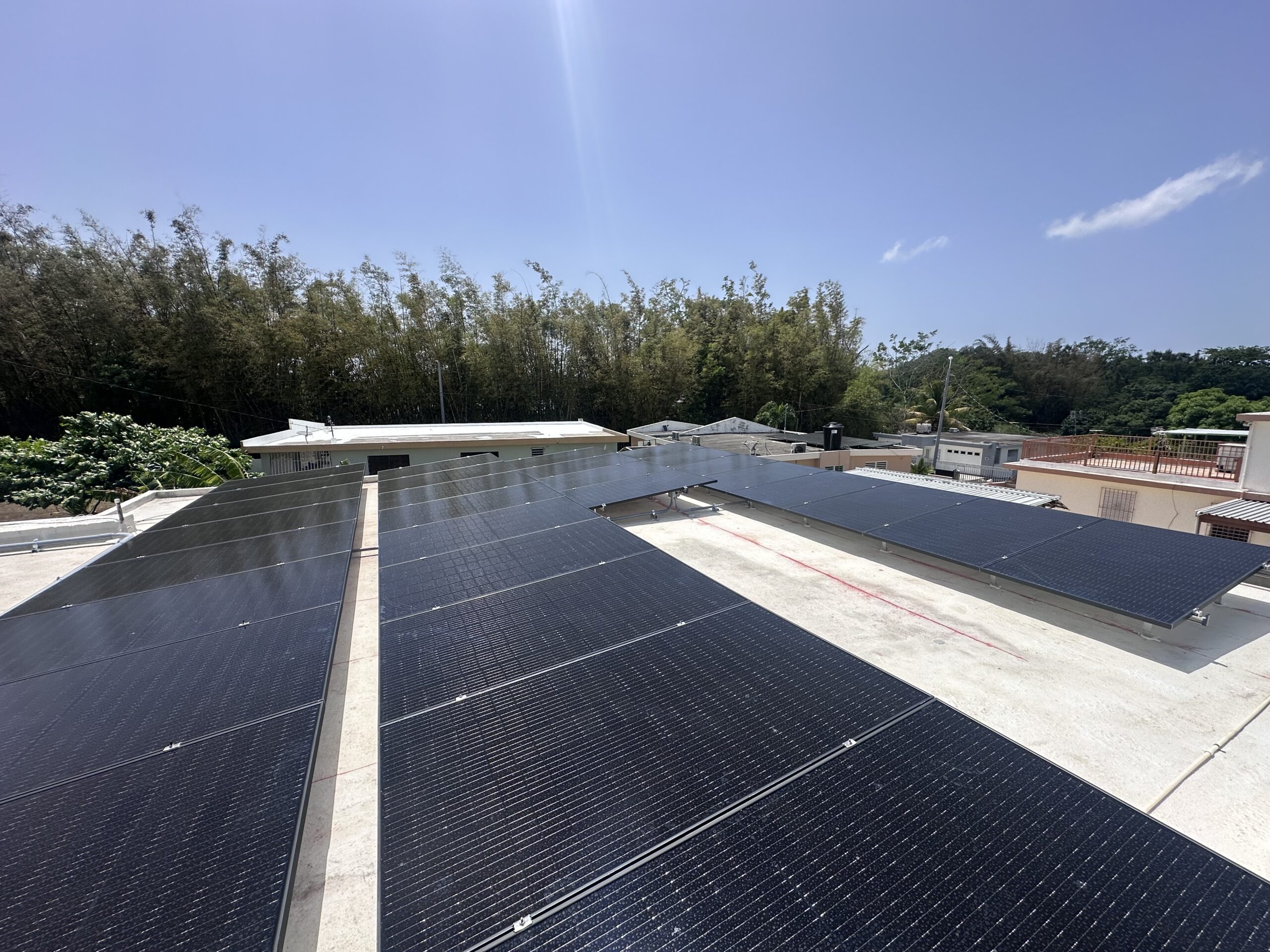 Imagen 8 compartida por Lion Force Sun Energy